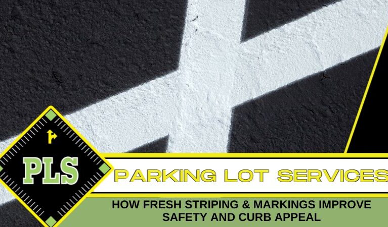Freshly painted parking lot striping on asphalt pavement in Tampa