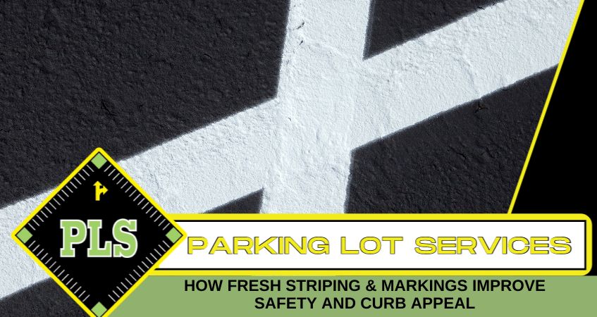 Freshly painted parking lot striping on asphalt pavement in Tampa