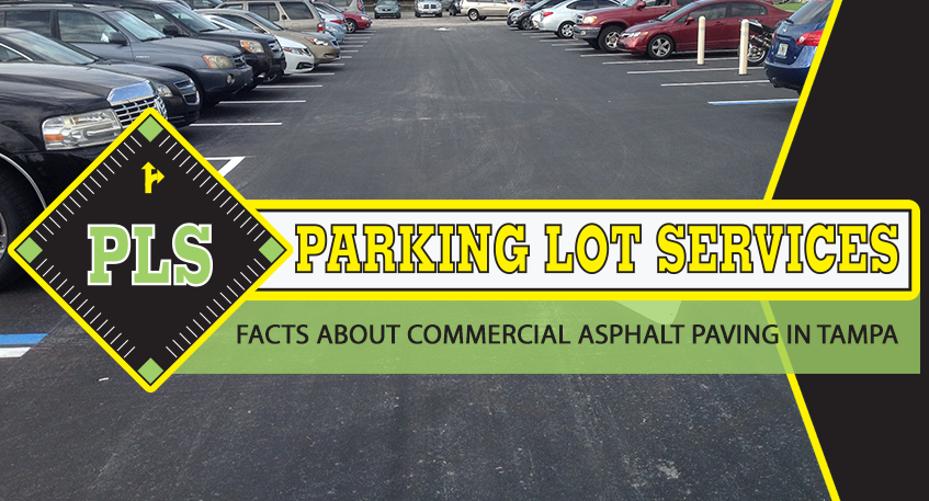 commercial asphalt paving in tampa